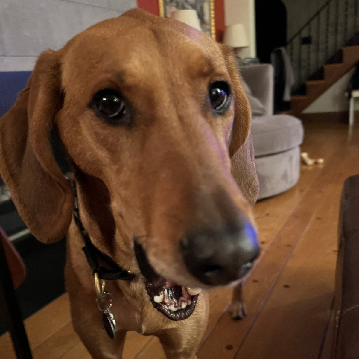 Dan Cohen (@dancohen) on Twitter photo 