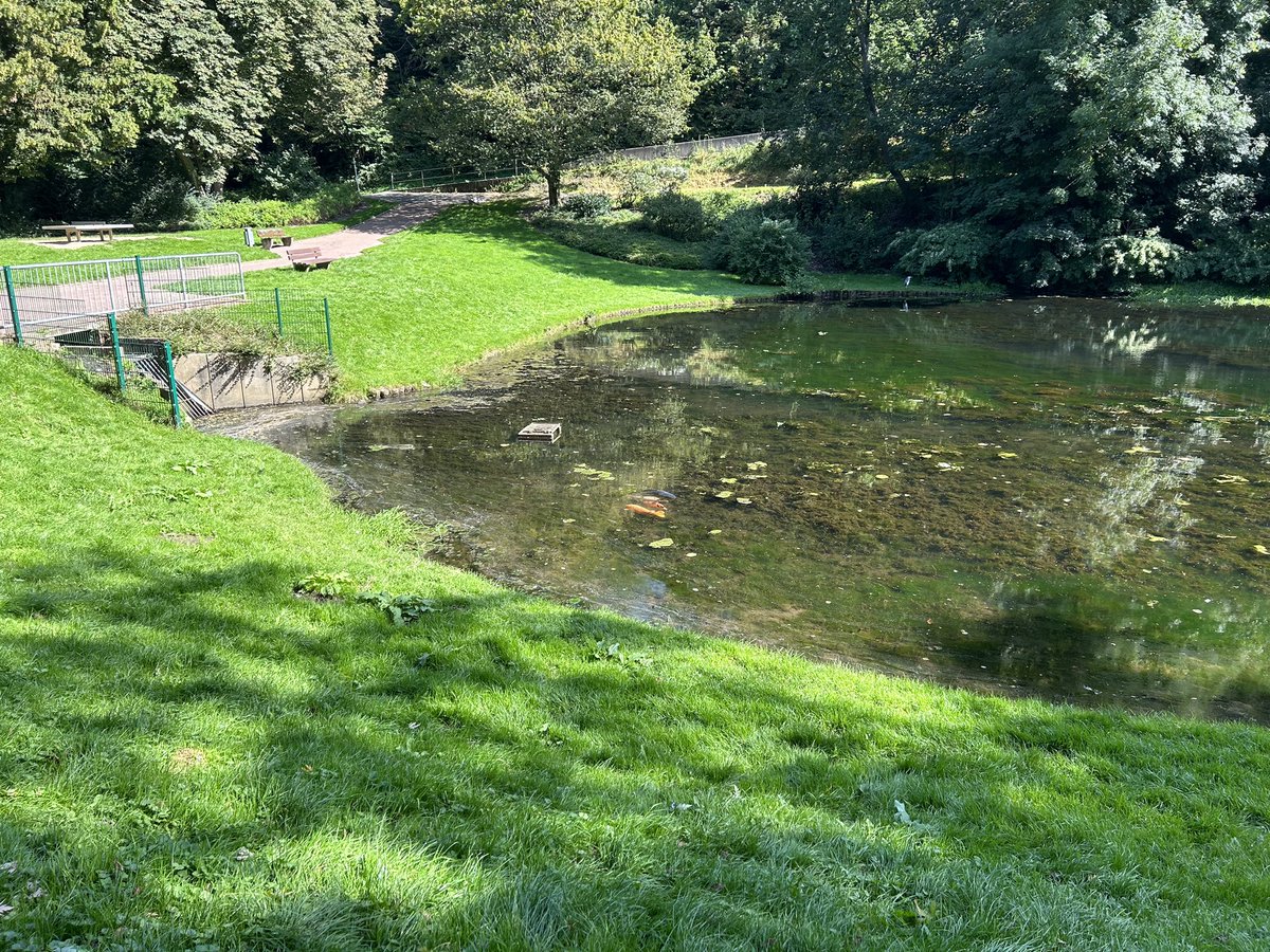 lordraydon's tweet photo. Das schöne Wetter genießen
#spazieren #wald #teich #bach #Wuppertal https://t.co/11eS8t0pZm