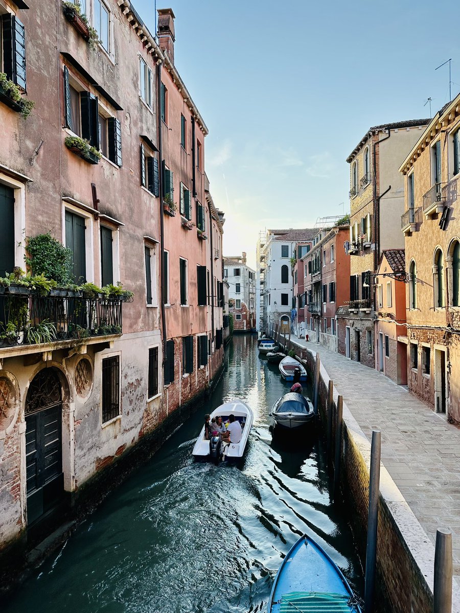 Michael Loughan tweet media