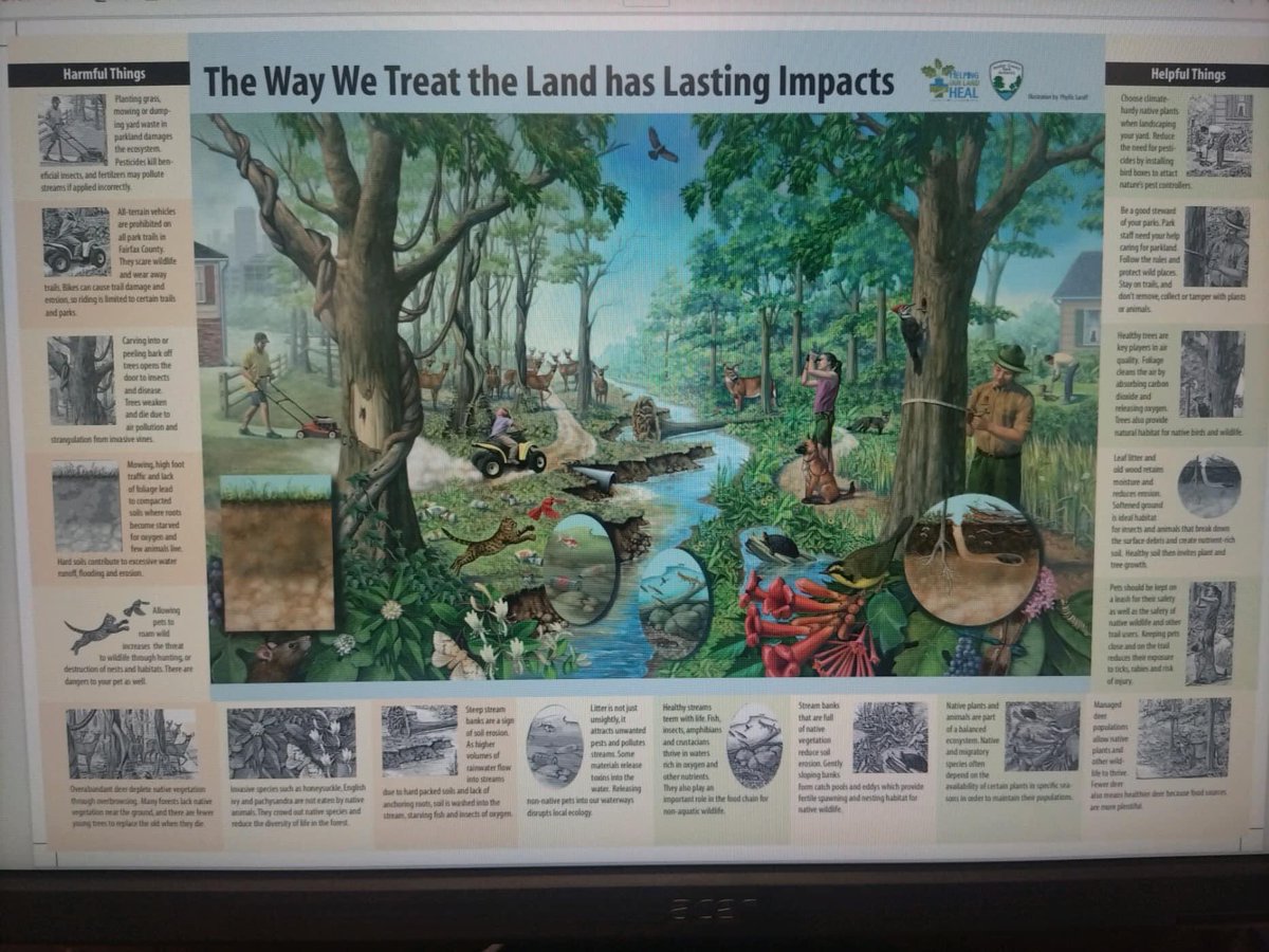 Help Lake Accotink Park - Reminder Lake Clean-up Sunday morning by the Marina (rain or shine).  Registration starts at 9am. Don't forget about our Pollinator Garden Tours and Tending start at 10:30 - Activities include service hours.

#fairfax #FLAP #lakeaccotink #FCPA #FCPS