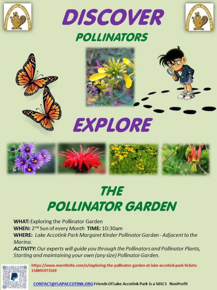 AccotinkFriends's tweet photo. Help Lake Accotink Park - Reminder Lake Clean-up Sunday morning by the Marina (rain or shine).  Registration starts at 9am. Don't forget about our Pollinator Garden Tours and Tending start at 10:30 - Activities include service hours.

#fairfax #FLAP #lakeaccotink #FCPA #FCPS https://t.co/YnCLmW45yq