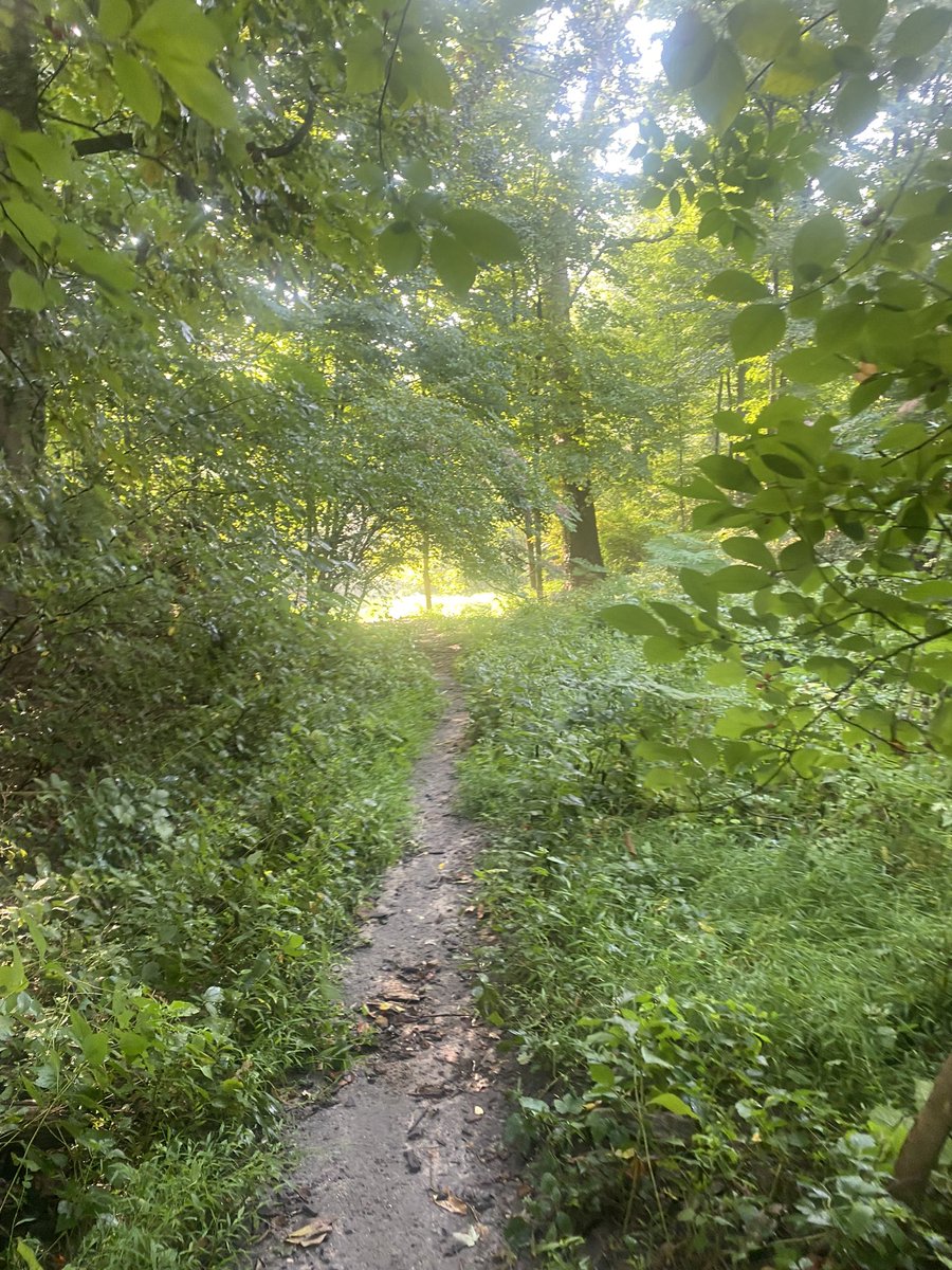 So many great places to train for the Run for Peace around Philly. Only 1 week until we gather under the clock tower to honor the lives of Peter and Kenny. Get your training run in and register today for the #PCrun4peace.     penncharter.com/alumni/runforp… 🏃‍♀️💙🏃‍♂️💛