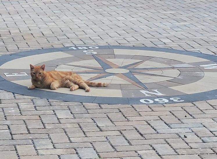 PAVERART tweet media