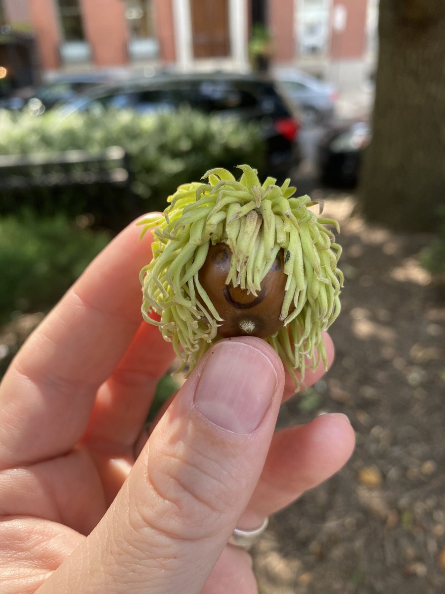 Gilty Boy 🌙 tweet media