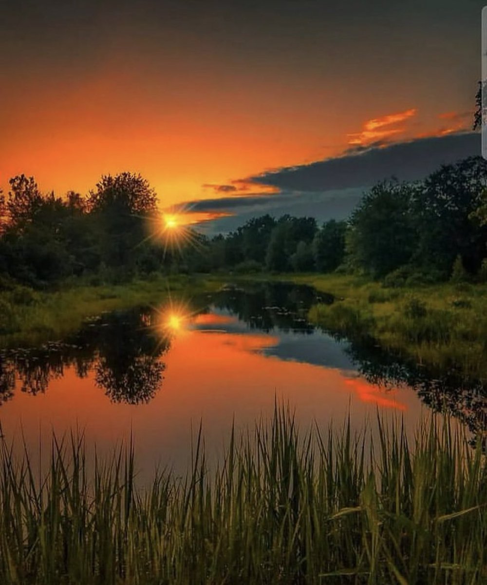 Good evening dear friends 🧡