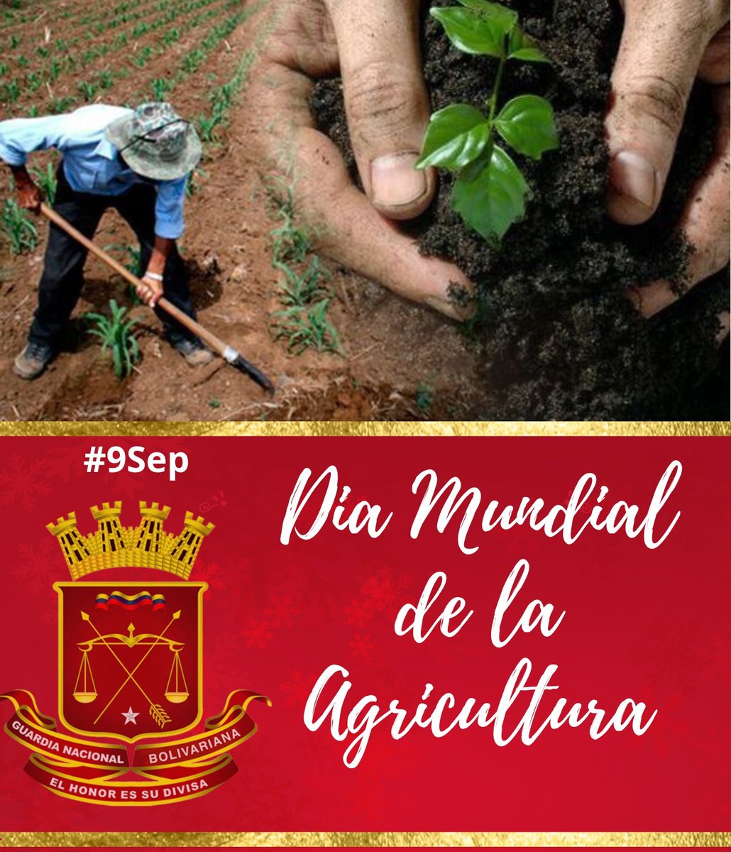 Efemérides: Hoy #9Sep se celebra El Día Mundial de la Agricultura, homenajeamos a los agricultores de la Patria, que dedican su vida a cultivar las tierras para alcanzar el desarrollo agrícola que nos llevará hacia la soberanía alimentaria. 
#GestiónSocialEficiente