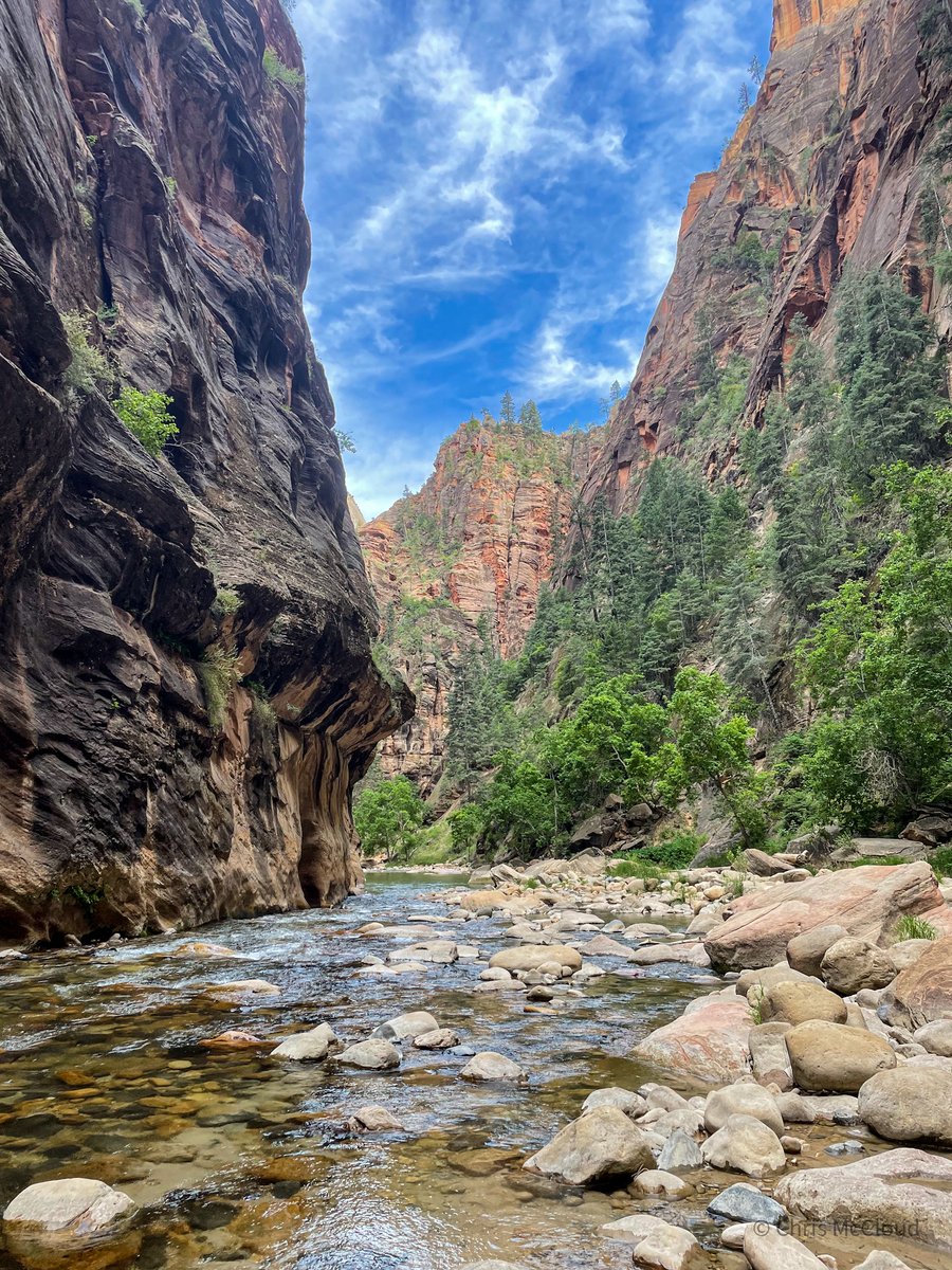 TimesWilderness's tweet image. "Lower Virgin River Narrows, @ZionNPS

Please remember, this is a water hike!  The river itself is trail.  Hiking on sand damages plants. Hike on rocks/in river."
- @aspenfoxtracks 

#zionnationalpark #lifeelevated #Utah #Zion #hikingadventures #hiking #ParkChat #beUtahful