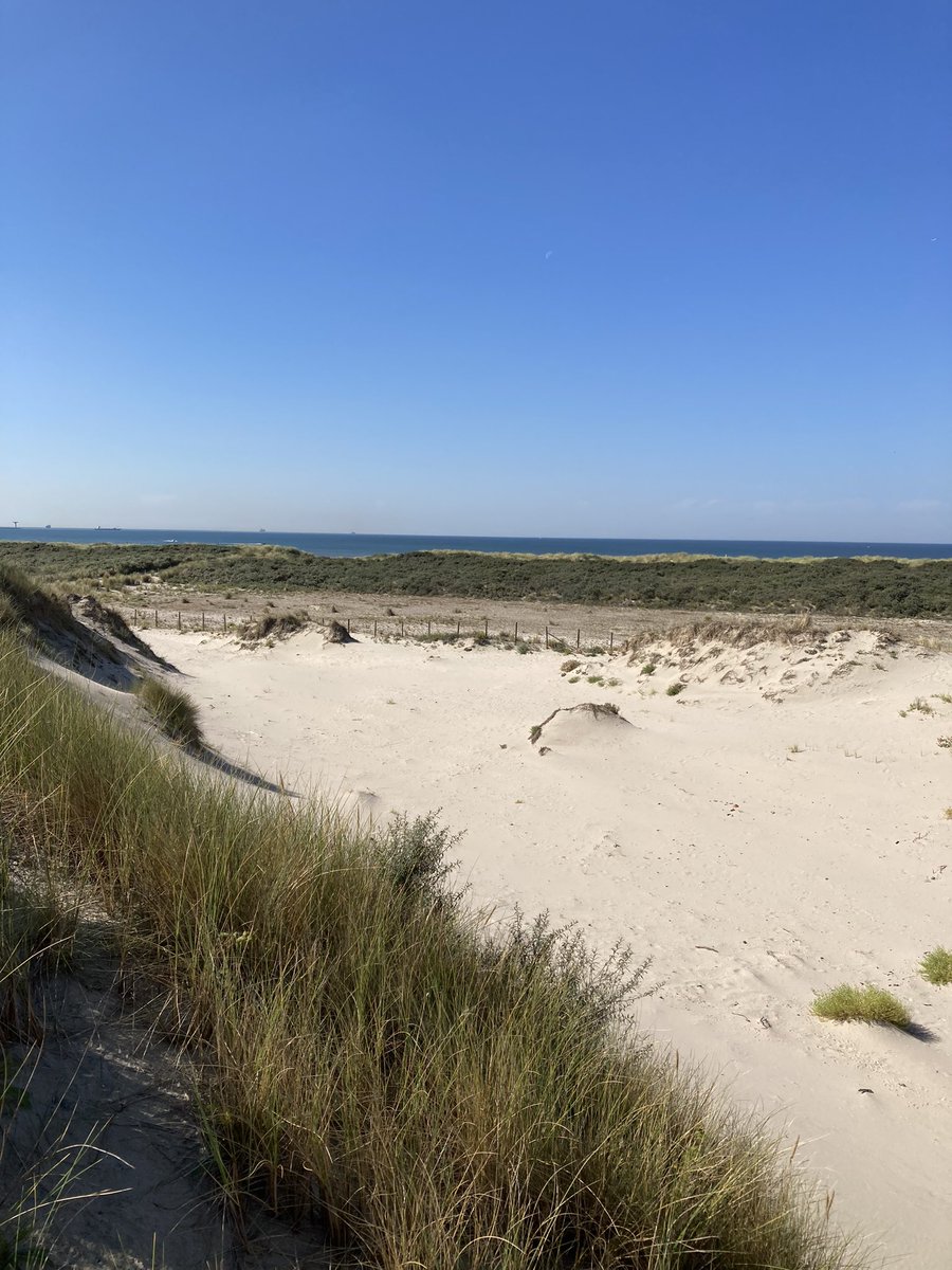 Het Spanjaardsduin is niet zomaar wat! #regiokuststreek <a href="/ZHLandschap/">Zuid-Hollands Landschap</a> <a href="/Bezoek_westland/">Bezoek Westland</a>