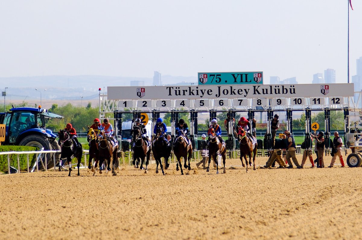 2023 yılı G1 Yıldırım Bayezid Koşusu galibi:

Zolo Muum &amp; Hışman Çizik.
