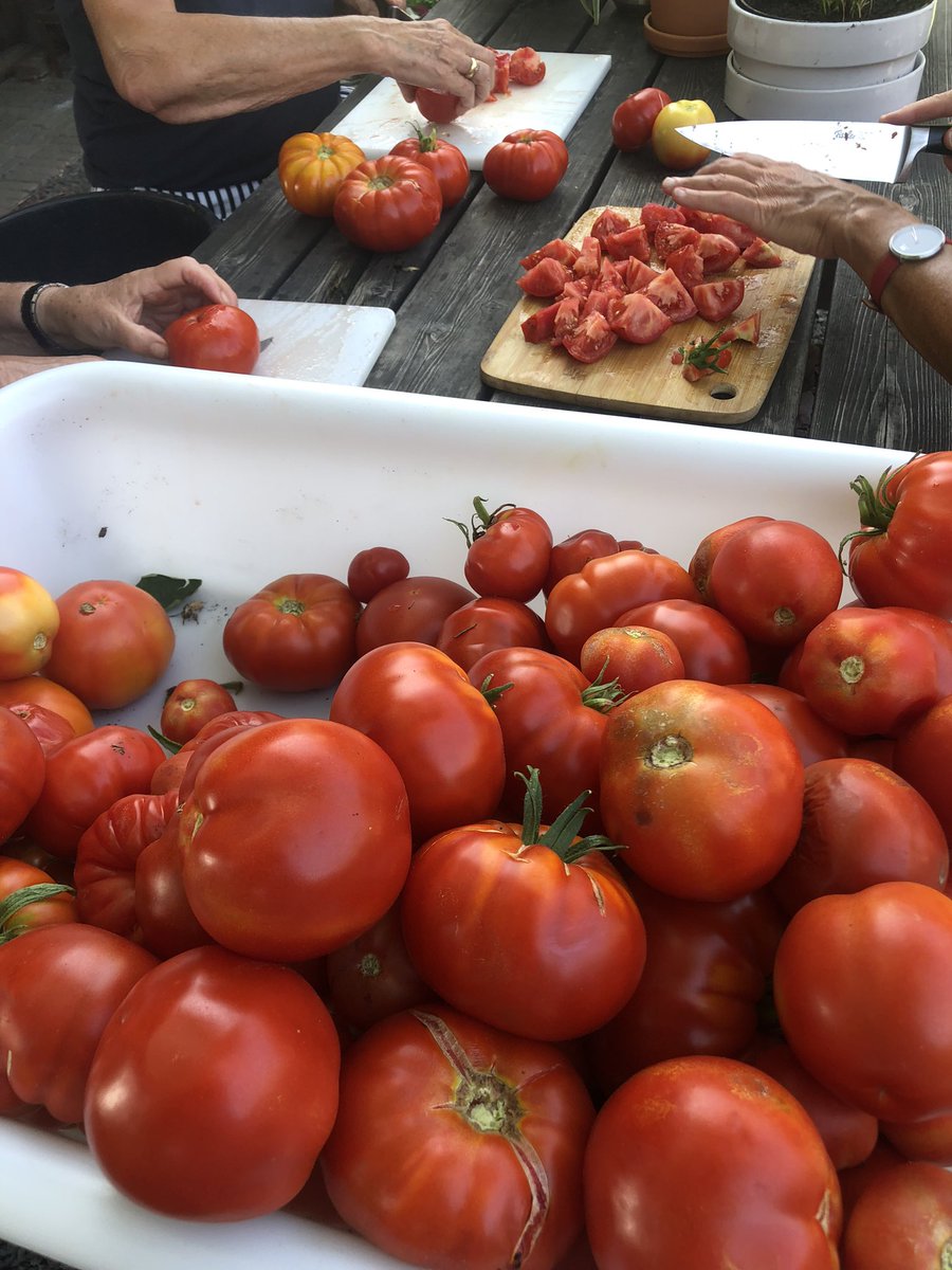 Tomaten, tomaten, tomaten….tomatenoogstdag. 🤠 #wijzijnuwanimatieteam