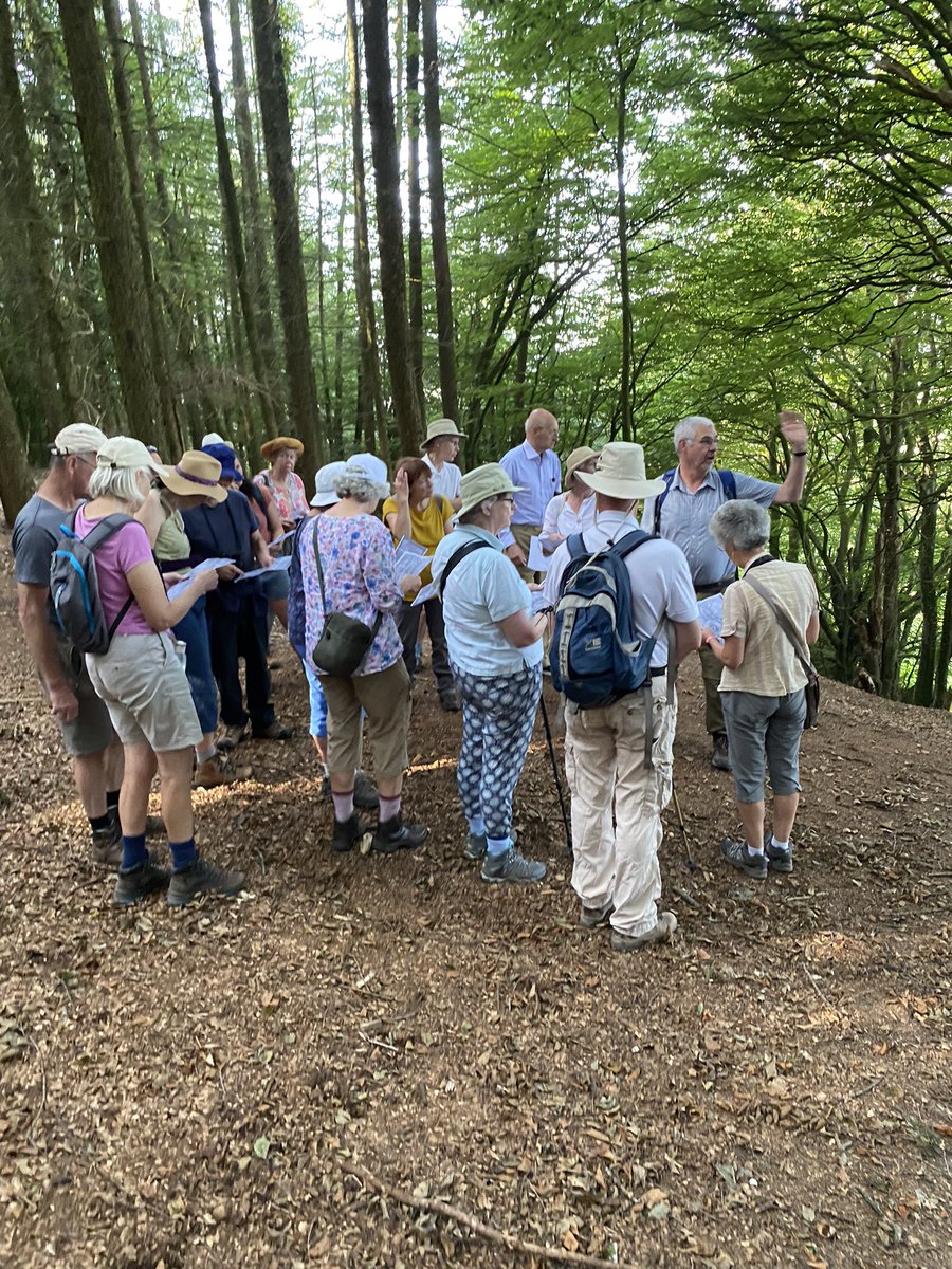 A big thank you to Bill Horner from @DevonHistEnv for leading a fascinating tour this morning about the historic whetstone mining industry ⛏️around Witness Moor. A great start to the @BlackdownsAONB Festival of Heritage!