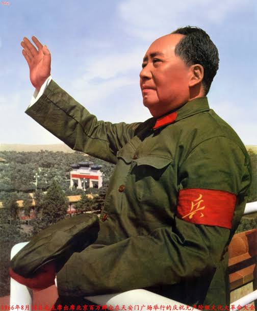 三十三画生 tweet media