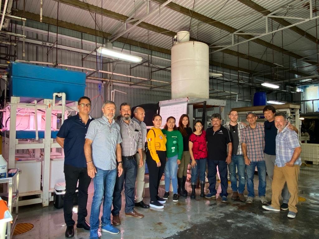Reunión del Frente de Permisionarios del Sector Social Pesquero de Baja California con los jóvenes de Spora y de la UABC , en el marco de producción de "Grava Verde" juveniles de macroalgas Kelp.