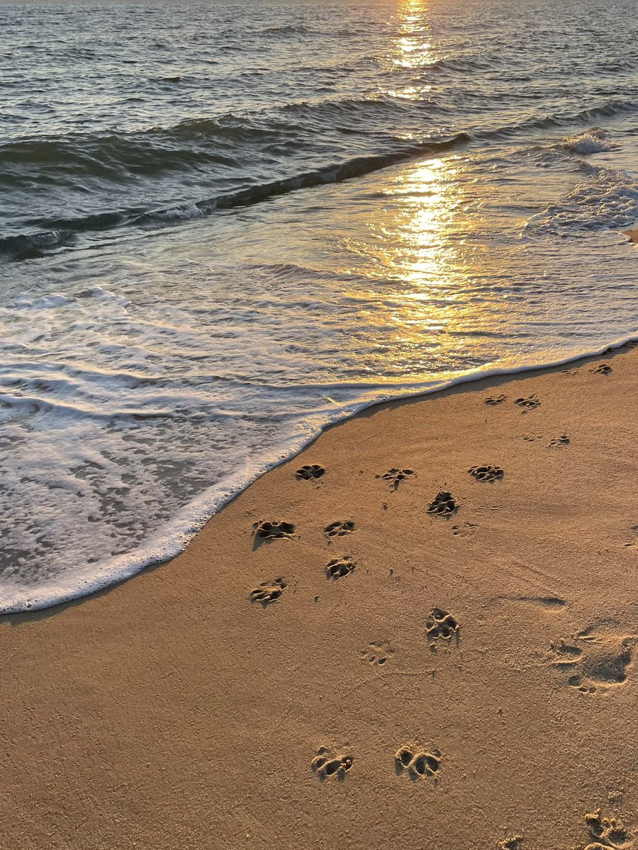 ‘ขออยู่ในชีวิตที่เหลือของเธอได้ไหม’