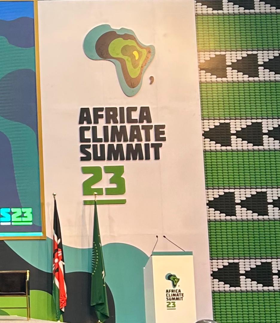 Zimbabwe Environmental Law Organisation (ZELO) tweet media