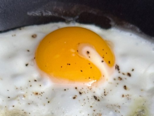 mingtext's tweet photo. [230909] 🦊🫧 8:23 PM

: no the one i uploaded on insta
: isn't the perfect fried [egg]!
: i can do better!
[📸]
: honestly this was almost a success
: it cracked while i was moving it to a plate..ㅠ 
: anyway look forward to the more perfect fried egg https://t.co/lCQPU1gQo8