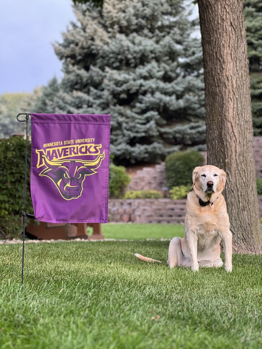 It’s GAME DAY and our 1st home game💜💛🏈!!!  Finley says it’s time to get down to business and get Blakeslee rocking tonight!  Let’s go #53 and our Mavericks!!! #RollHerd #OLMomLovesHerMavs <a href="/aiden_brink/">Aiden Brink</a> <a href="/brink73/">Ryan Brink</a>