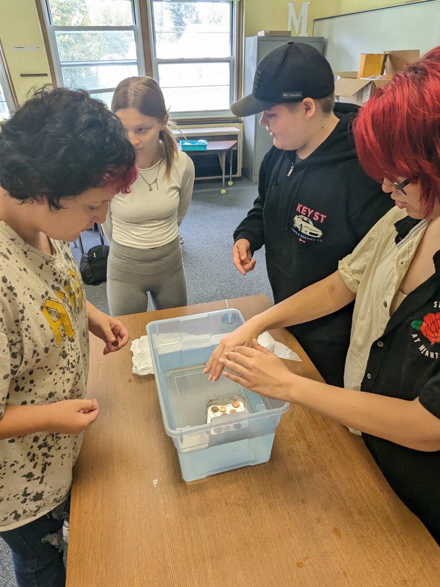 Meaghan Whitten tweet media