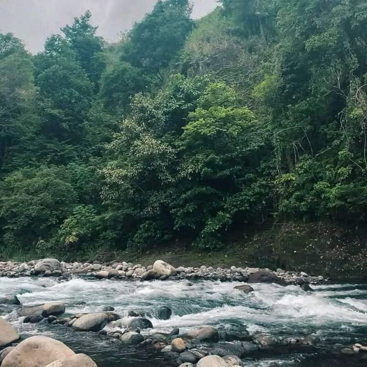 suarezion420's tweet photo. 𝘕𝘢𝘵𝘶𝘳𝘦 𝘤𝘢𝘯 𝘩𝘦𝘢𝘭 𝘦𝘷𝘦𝘳𝘺𝘵𝘩𝘪𝘯𝘨 🫶🏼🌿✨ https://t.co/OCnmzfEQ22