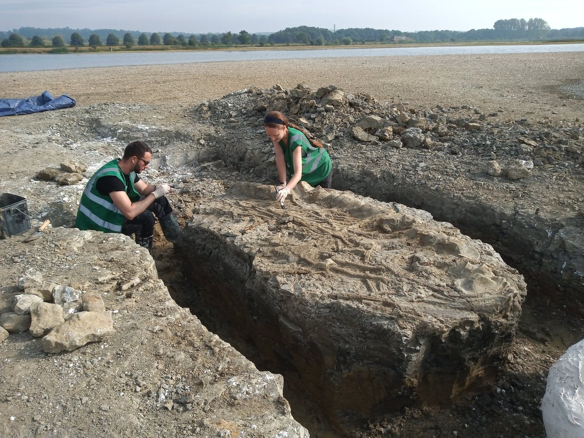 outfossiling's tweet image. 9/9/2021 - was a day to apply a weak acetone paraloid solution to the exposed bone from this huge section of #rutlandichthyosaur I mean just look at it, absolutely jaw dropping.