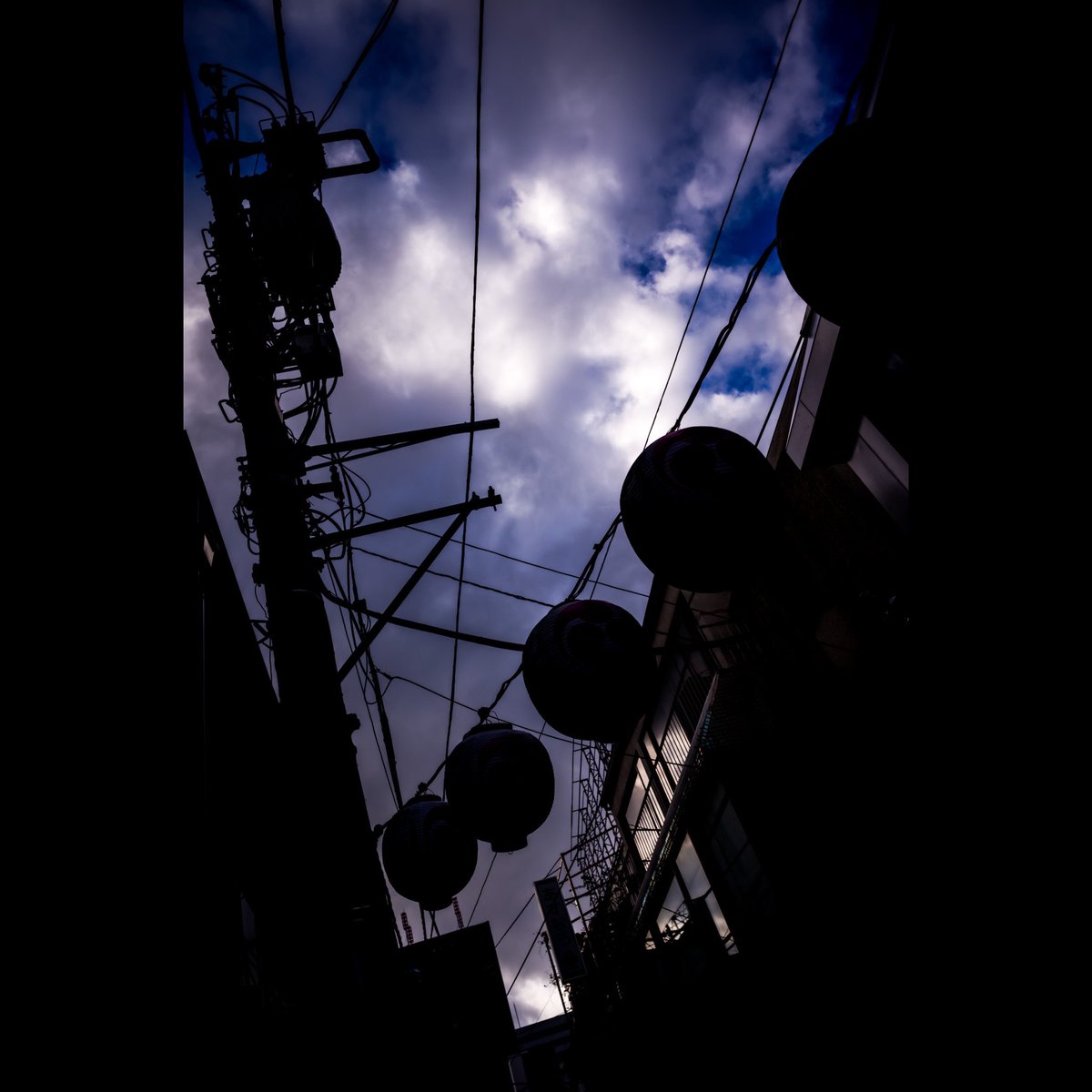 sai_ho's tweet photo. 今日のお気に https://t.co/tjluIAa1dN