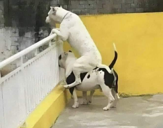 กุกับเพื่อนที่ชอบเสือกเรื่องของคนอื่น :