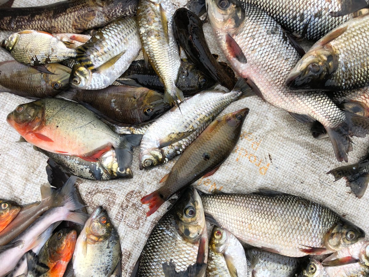 Sebastian Heilpern tweet media