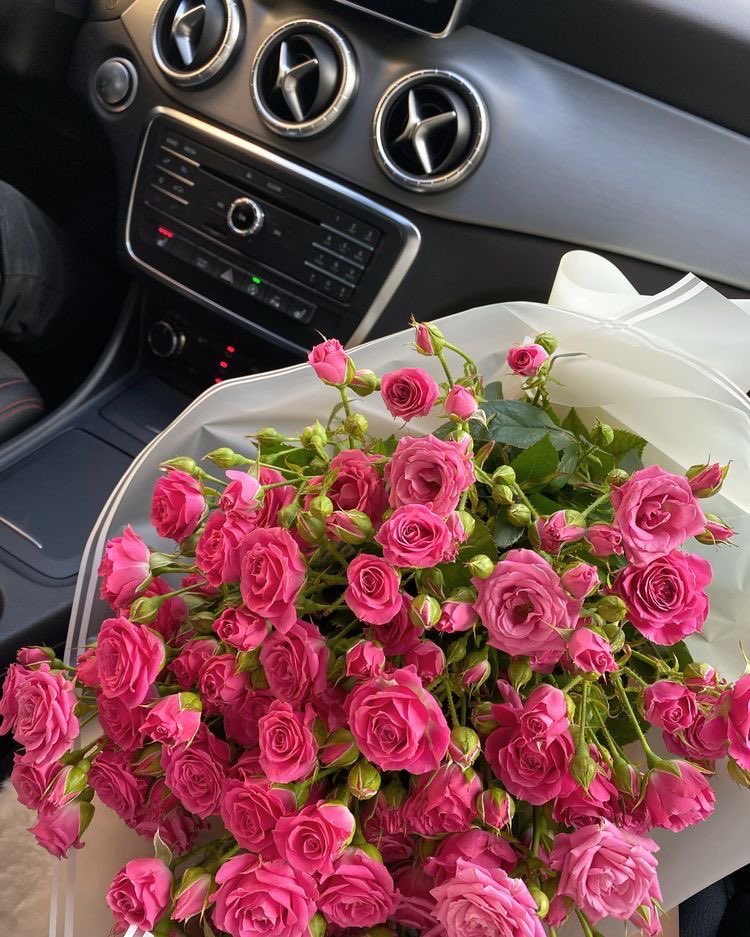 i3Moment's tweet photo. Pink💖 https://t.co/vdw3XnQi5c