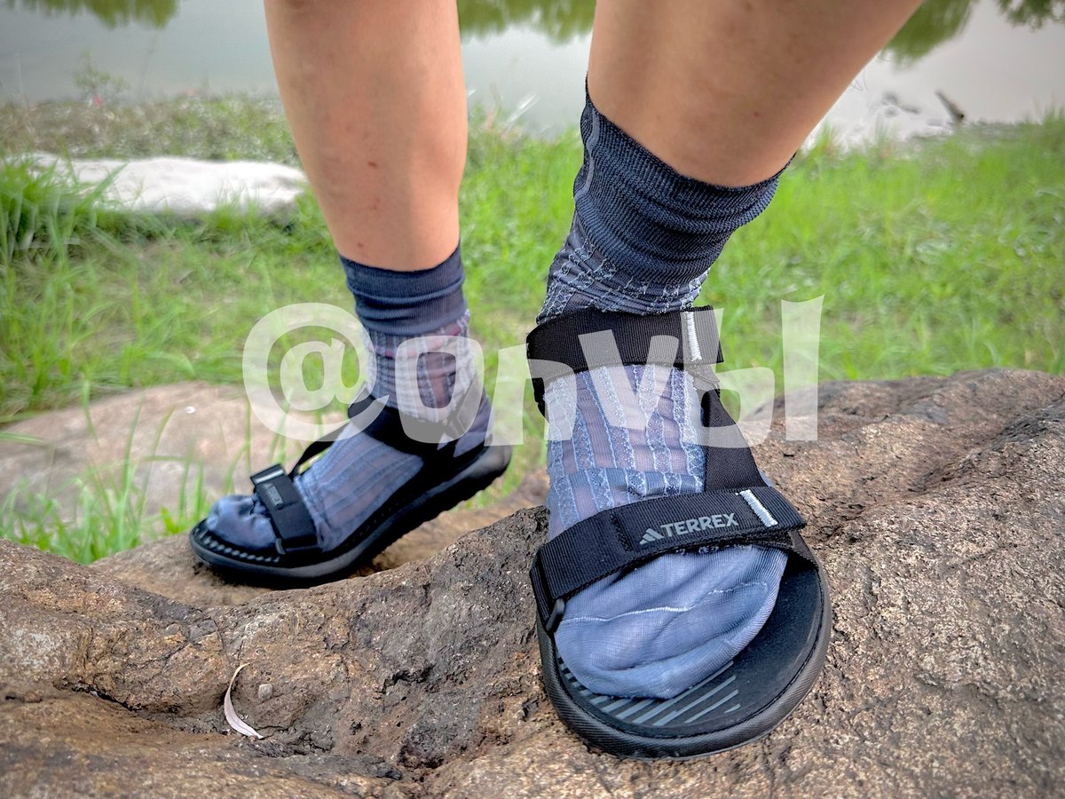 Roy Navi tweet media