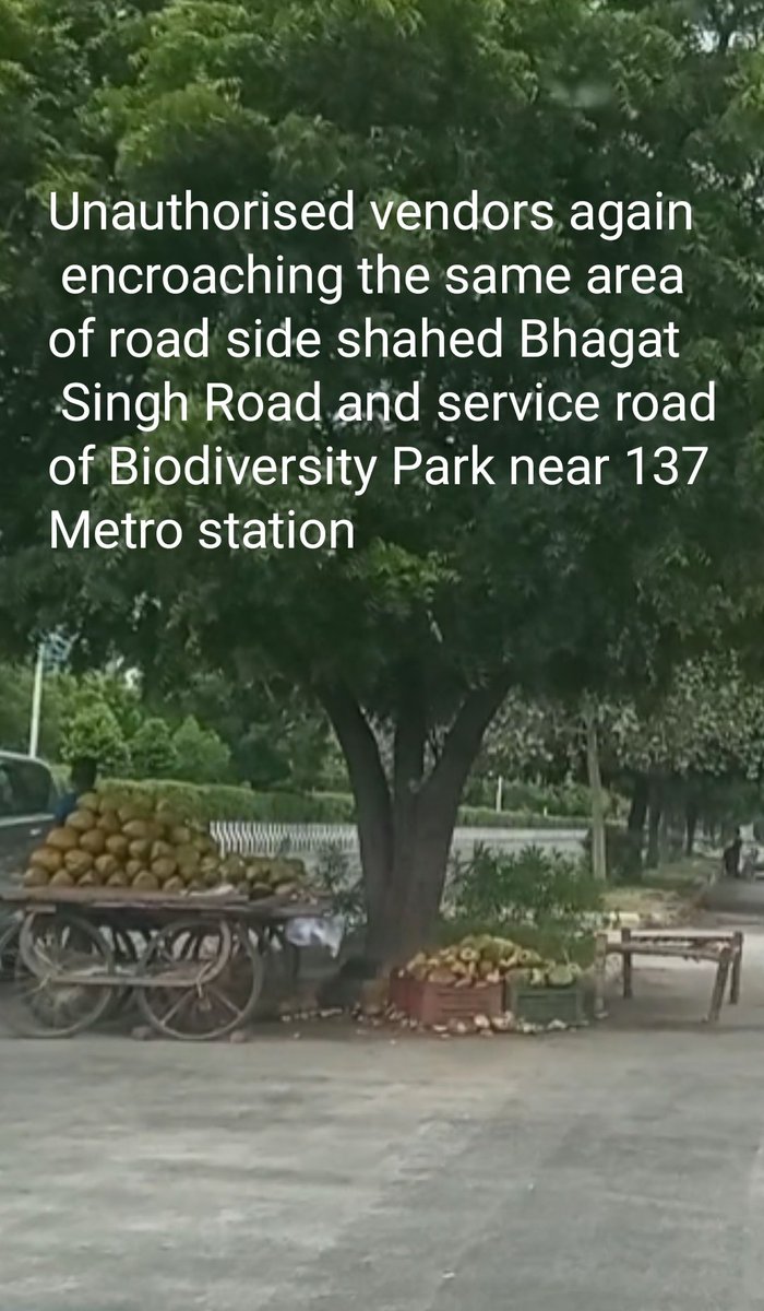 <a href="/noida_authority/">NOIDA Authority</a> 
Sir
Unauthorised vendors again encroaching the same area of road side shahed Bhagat Singh Road and service road of Biodiversity Park near 137 Metro station
Clean Noida Green Noida
Volunteers 137