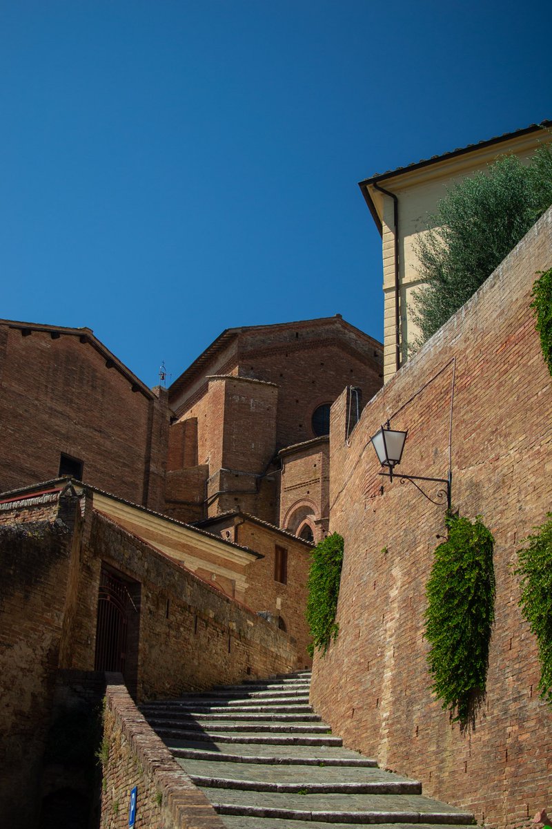 TANTONASU's tweet photo. [SIENA] 

#photography #nasuviphoto
photo:nasuvi https://t.co/3EN0eq6ON4