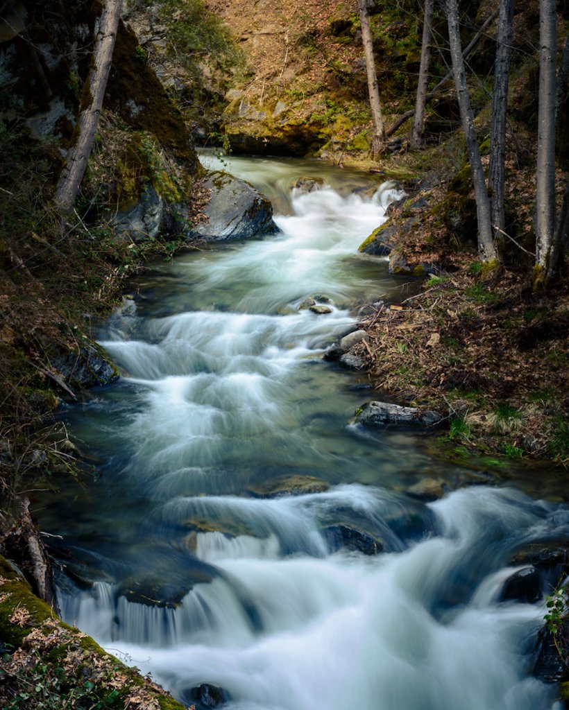 A Quiet Evening on Tompkins Creek
#landscape #photography #photo
#longexposure #wildearth #steams #creeks #NaturePhotography