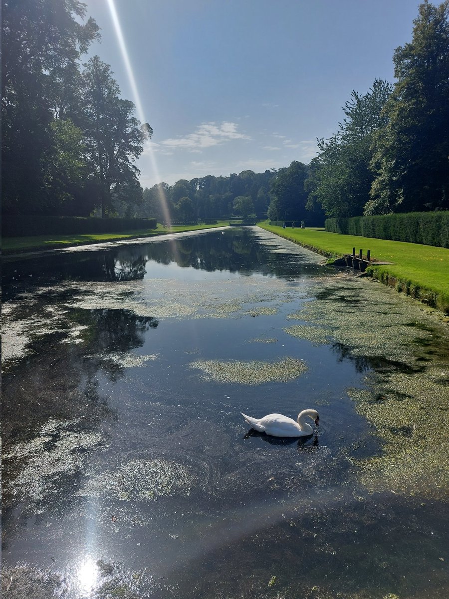 mattbison's tweet photo. Sweltering day but stunning views, as ever, at Fountains Abbey #NorthYorkshire https://t.co/1i7ntijpOk