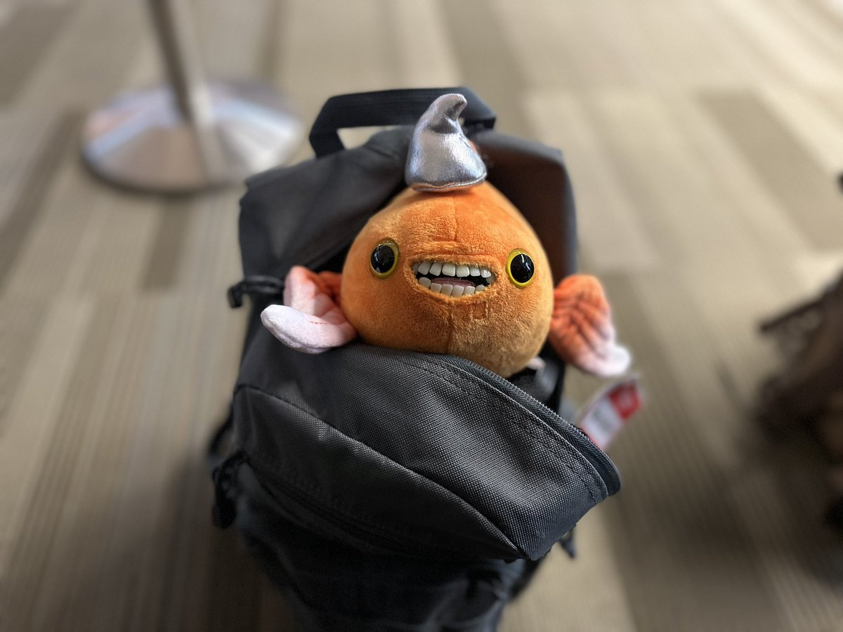 Finally Anchorage bound ✈️ by way of #Chicago with #HeckleFish in tow 🏔️🏔️ #OHOP #OperationHealOurPatriots #SamaritansPurse