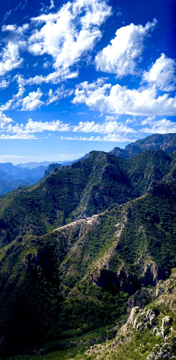 Good morning ☀️ 

Saturday fun