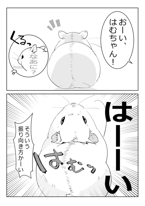 三代目ハムスターのすげえところは呼ぶと反応するところ。うれぴ。
#ハムスター漫画 