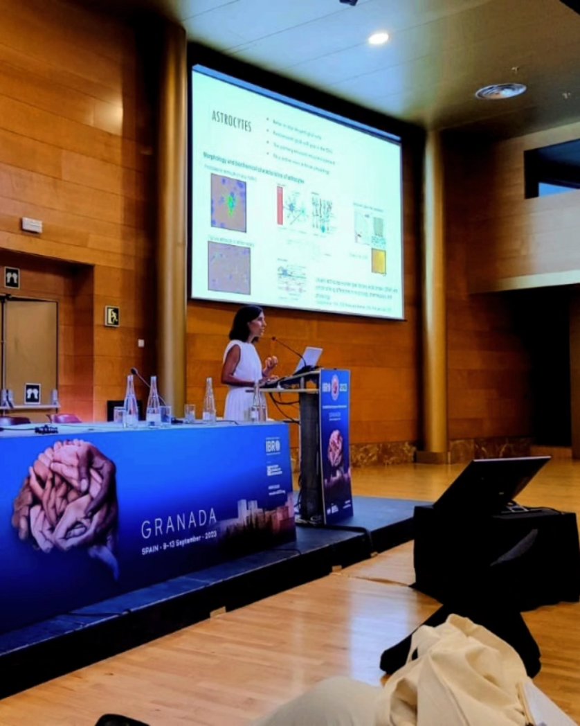 asebastiaolab's tweet photo. [September 8th 2023]
@SandraHVaz1 was invited to speak on the Spanish Glial Network (#RGE) symposium, part of the Spanish Neuroscience Society Day (#SENCDay) and 11th @IBROorg. #IBRO2023

The talk fitted within her #framework of unveiling the role of #astrocytes in the #mPFC. https://t.co/jFGOwfvzY3