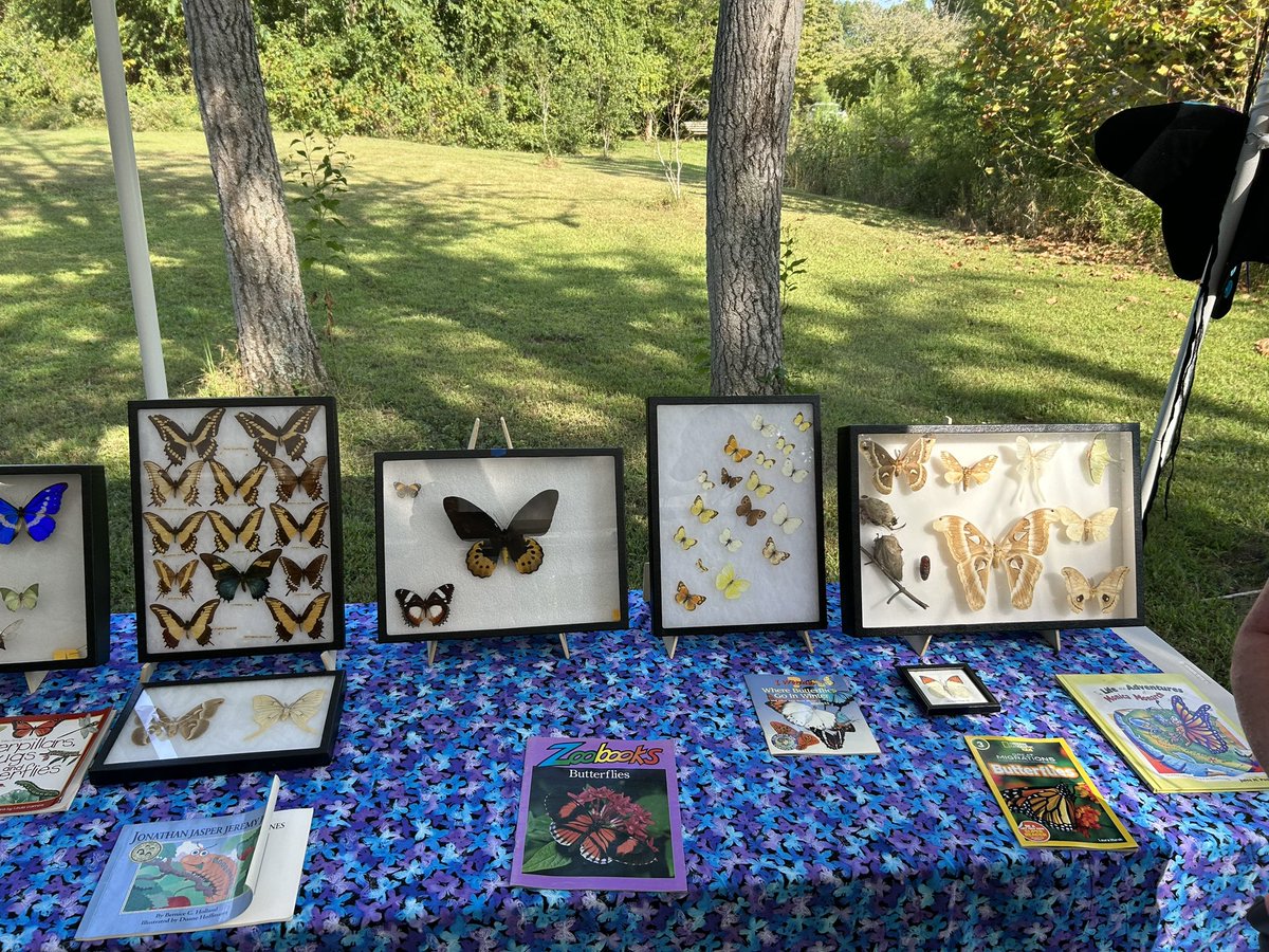 It’s the 2023 UT Arboretum Society Butterfly Festival - Butterfly Tents - UT Insect Zoo - Lectures - Children’s Arts and much more <a href="/UTIAg/">UT Institute of Agriculture</a> <a href="/UTAgResearch/">UT AgResearch</a>