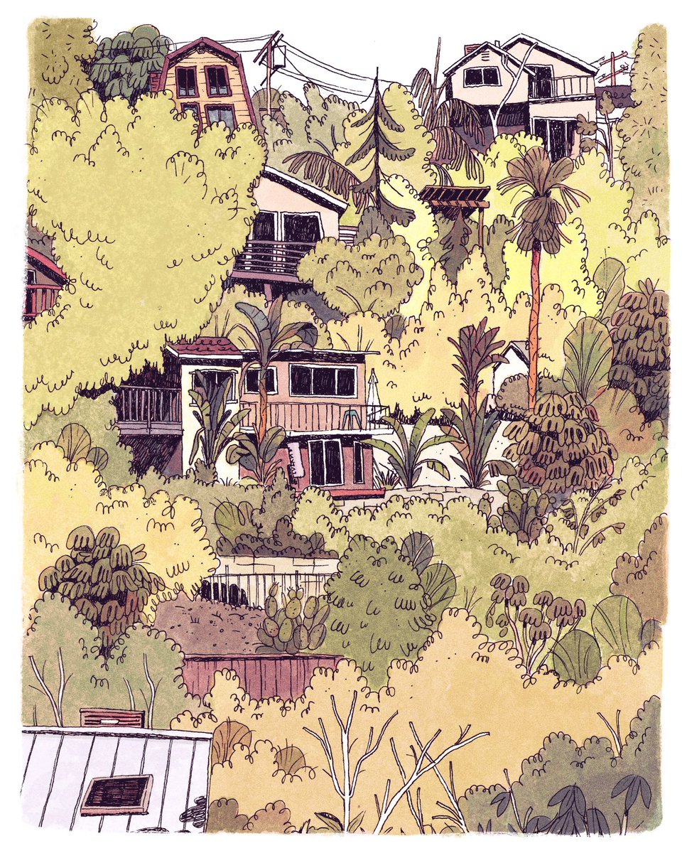 Taylor Price tweet media