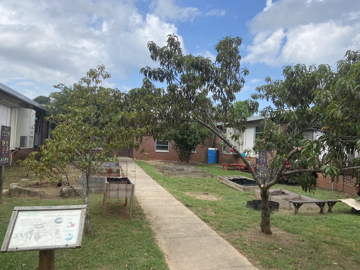 Jennifer Macdonald tweet media