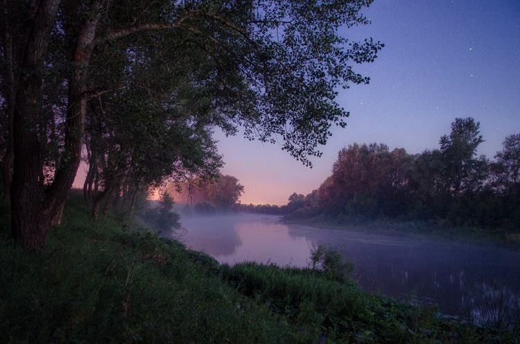 violettweets_'s tweet photo. serenity. https://t.co/x3QfQgaOxW