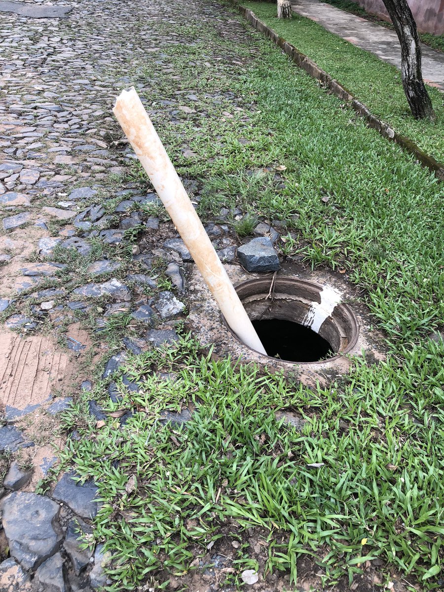 vicky ramirez tweet media