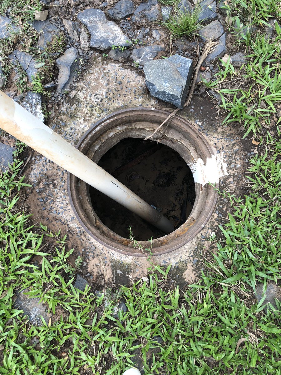 vicky ramirez tweet media