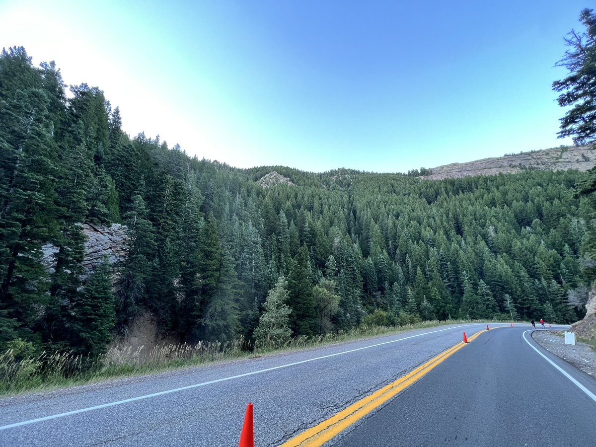 Ala_wake tweet media