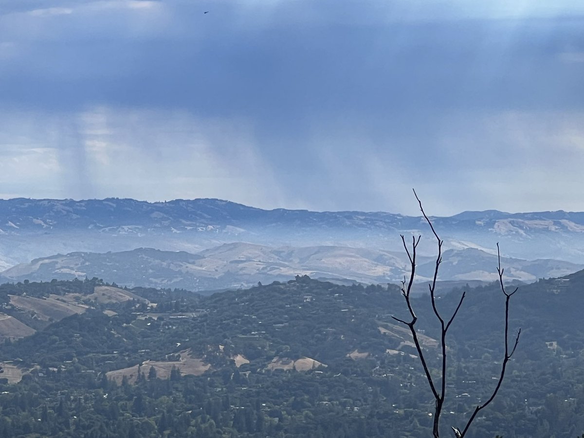 Joseph DeSimone tweet media