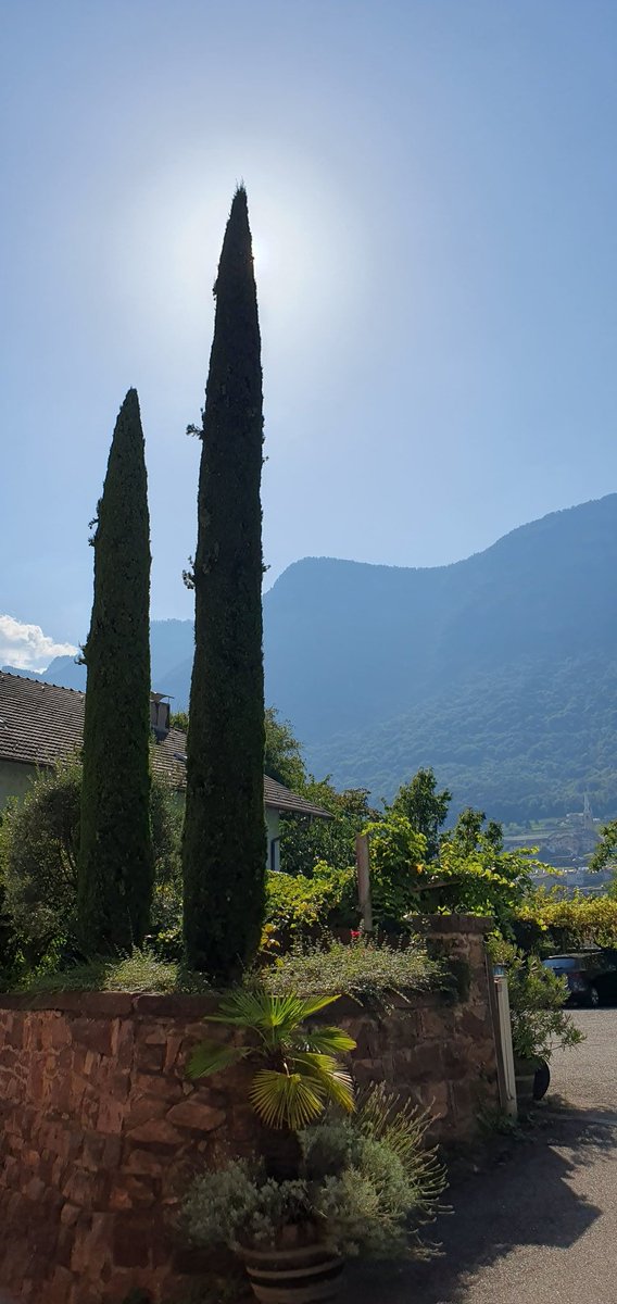 alejulimanu's tweet image. #Kaltern und sein wunderschöner See!