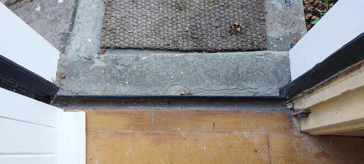 ⌬Nessa Carson tweet media