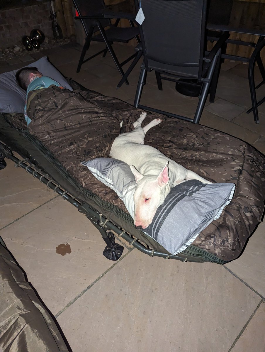 CobenNicholson's tweet image. Camping out tonight 😜