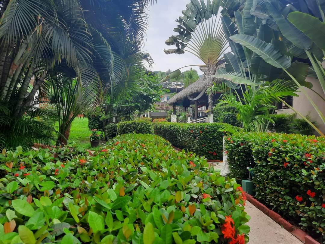 Un buen SÁBADO comienza con S de… SONREIR 😁
Nuestros teléfonos:
☎️ 7442613202 y
☎️ 7442613203 
WhatsApp 
📲744 313 5701 
📲744 304 5472
#ElTropicanoTeEspera
#ElTropicanoMeEncanta
#VenYConócenos
#PreciosAccesibles
#VisitaAcapulco
#SábaditoFeliz
