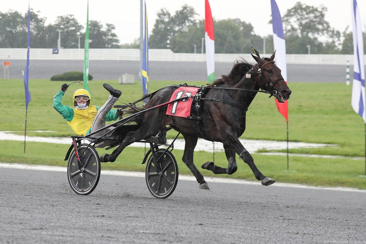 YonkersRaceway's tweet photo. Vivid Wise As ($7.50) of Italy wins the 2023 $1,000,000 MGM Yonkers International Trot in 2:23.1
Driver : Matthieu Abrivard
Trainer: Alessandro Gocciadoro
Owners: Bivans Srl &amp; Bruni Racing Team AB

Jiggy Jog 2nd
Bengurion Jet 3rd

Mike Lizzi photo https://t.co/zKScufMuZF